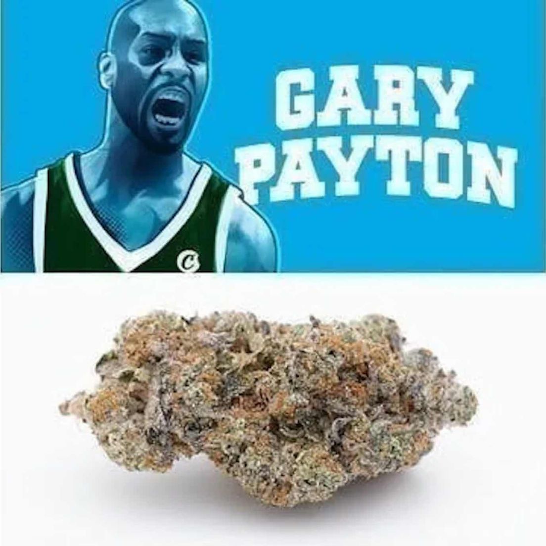 Cookies - Cookies - Gary Payton x Jealousy 3.5000g