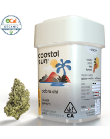 Coastal Sun - Cobra Chi 7g