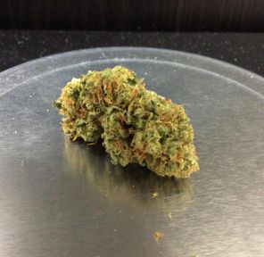 Alien Technology by Green Roots Grow