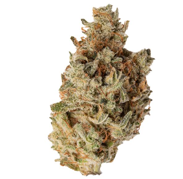 Buddha Kings Blue Hawaain