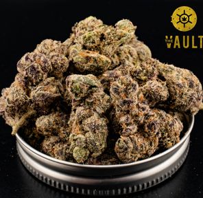 AAAA+ | Permanent Gas by New City Gas