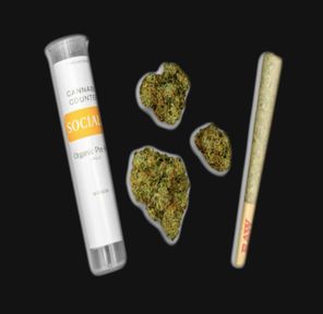 Cannabis Counter Black Patronus 1g Preroll