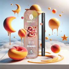 Dompen- Peach Ringz Disposable 1g (H)