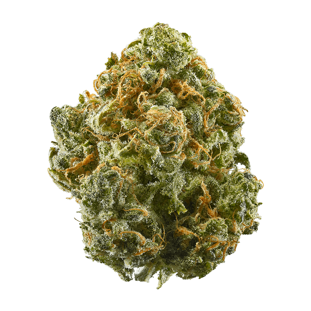 AAA Cannabis Flower - Purple Light Saber 7g