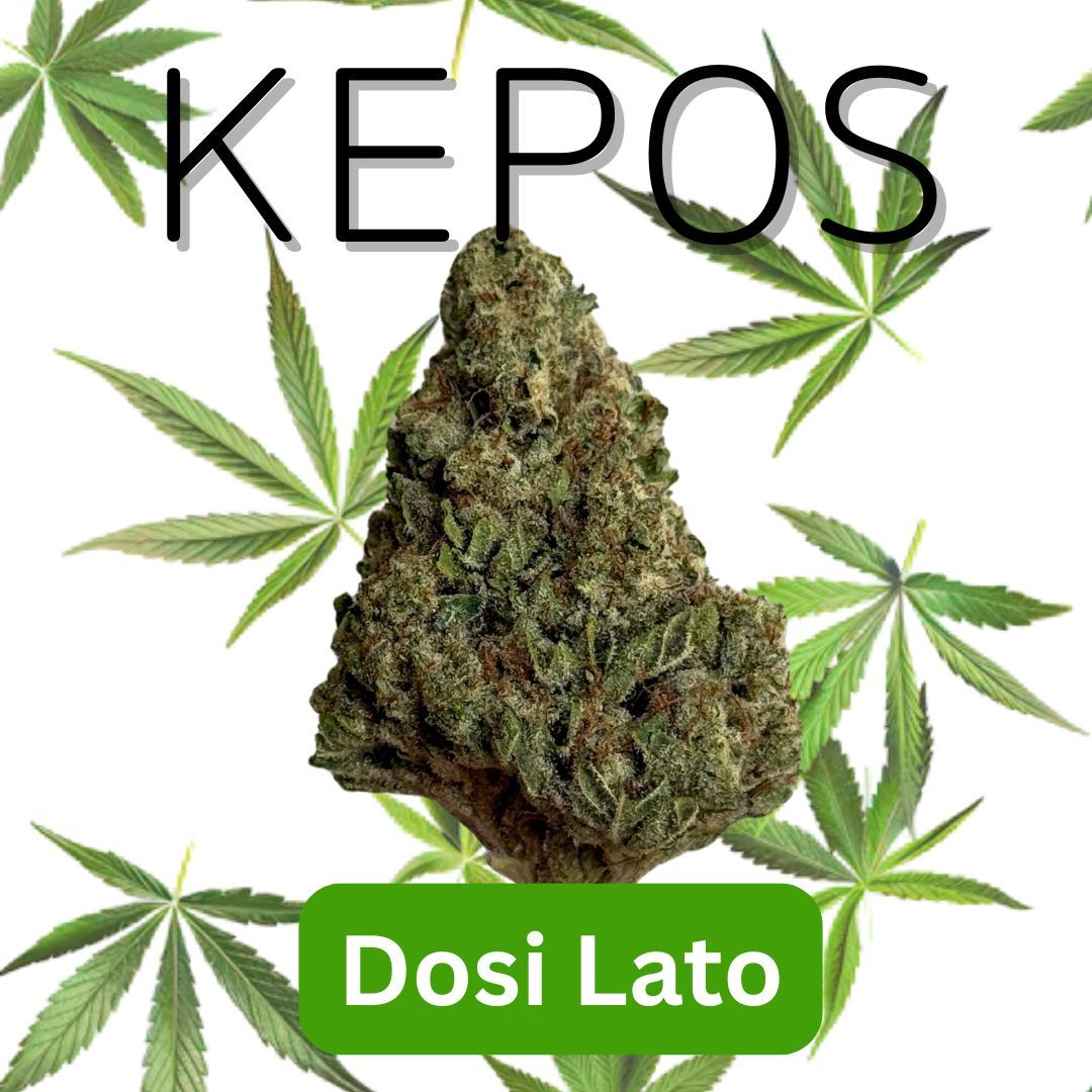 Kepos - Dosi Lato 14g - PREMIUM FLOWERS