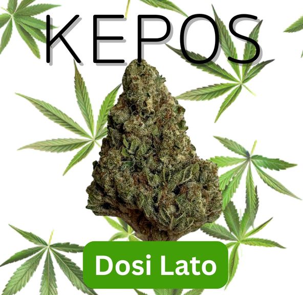 Kepos - Dosi Lato 14g - PREMIUM FLOWERS