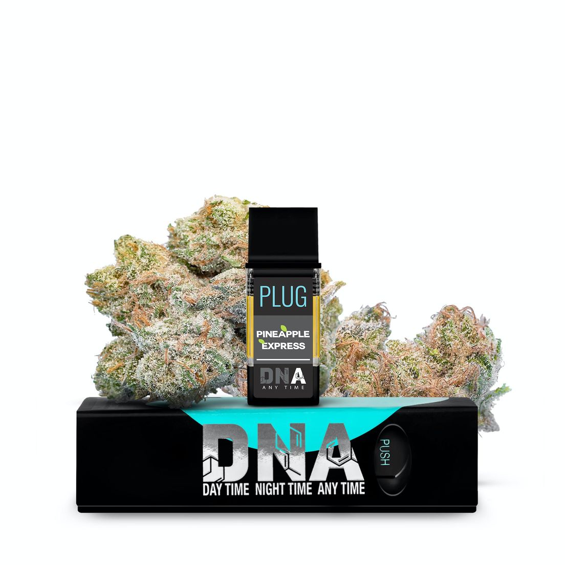 PLUG DNA: Pineapple Express