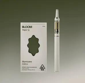 BLOOM: Slurricane
