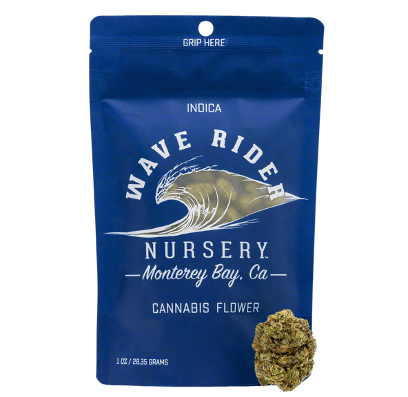 Wave Rider - Gelato 33 14G - FLOWER