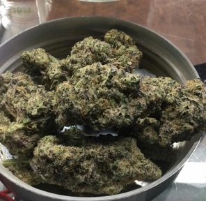 BIG MAC 1 ARBUCKLE FARMS