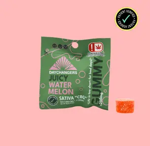 DAY CHANGERS JUICY WATERMELON THC:CBD:CBG SINGLE SERVE GUMMY 250MG