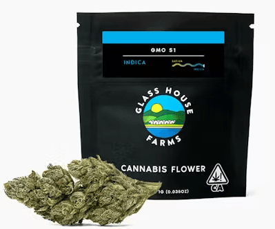 GLASSHOUSE - 1G GMO S1