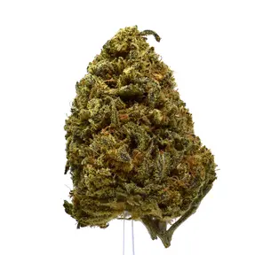 Treasure Island (CBD) | $70/oz | SALE!