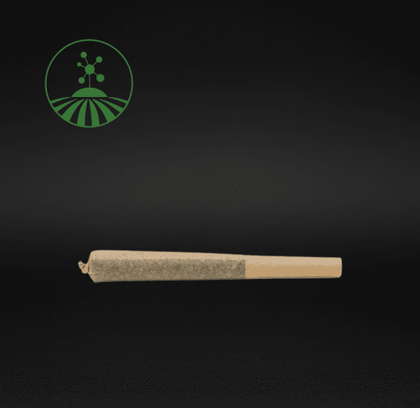 Molecular Farms | Ms. Wonderful | .7g Pre-Roll | Sativa-Hybrid