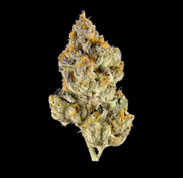 HUMBOLDT GROWERS NETWORK - MELTED STRAWBERRIES 14G SATIVA