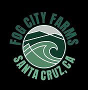 Fog City Farms - Pacific Gas Smalls - 7g - Indica