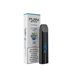 FURY Stick Disposable Raspberry Mint Tobacco 350 Puffs