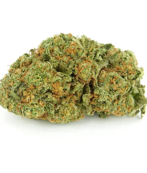 Cherry Pie Pink