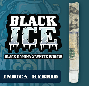RR|Bossin Benji|Black Ice