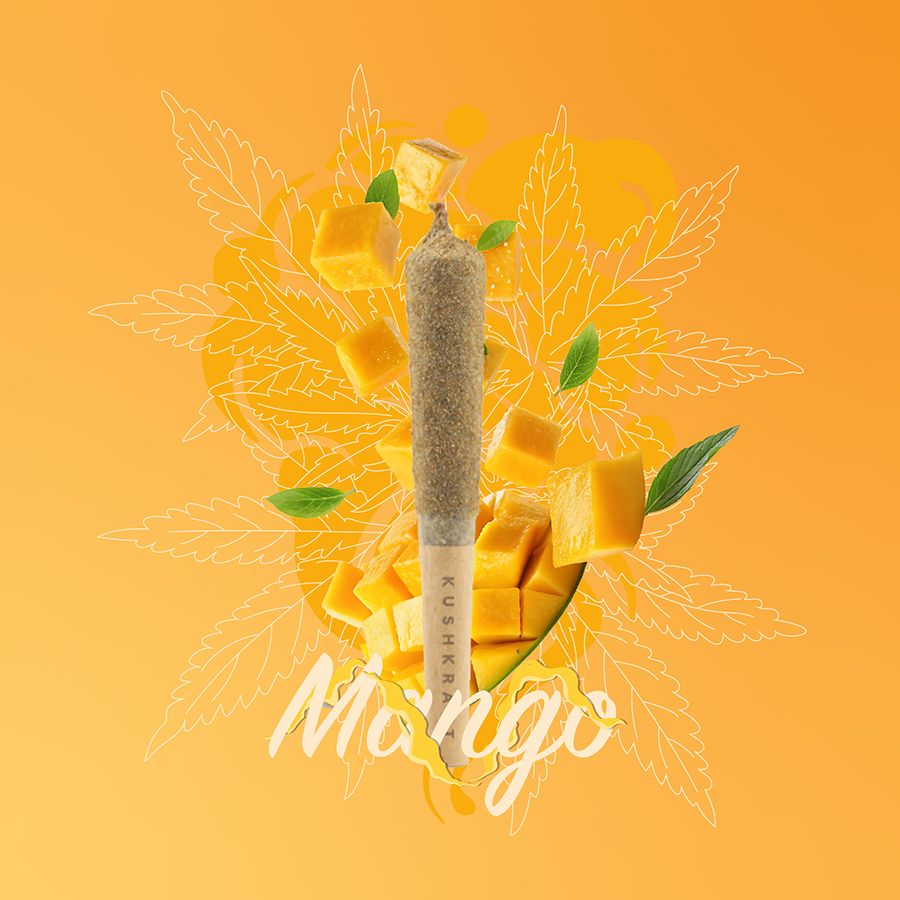 1 x 0.5g Infused Sticky Banger Pre-Roll Sativa Mango by KushKraft