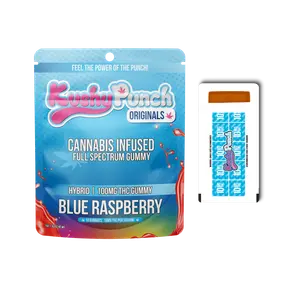 1. Kushy Punch | Gummies | 1pk | Blue Raspberry