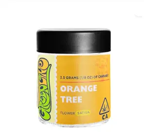 Orange Tree