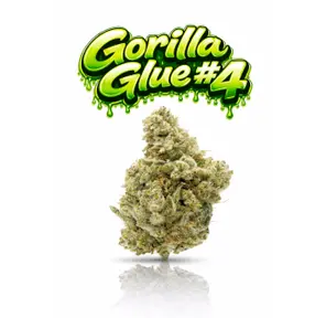 GORILLA GLUE #4 - 14G | INDOOR FLOWER