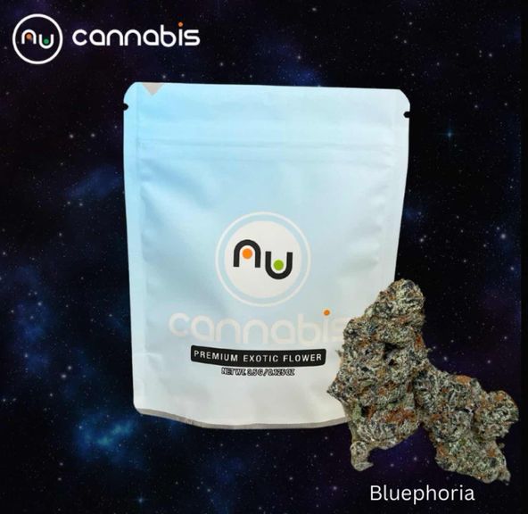 Bluephoria 7g - PREMIUM INDOOR FLOWERS