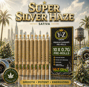 0.7G Pre-Roll: Super Silver Haze (S) 10 Pack