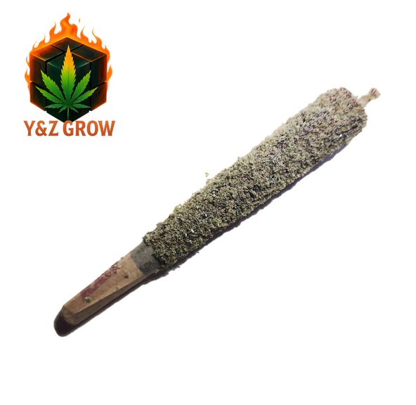 Moon Rocket Preroll - piff haze (Sativa) 1G
