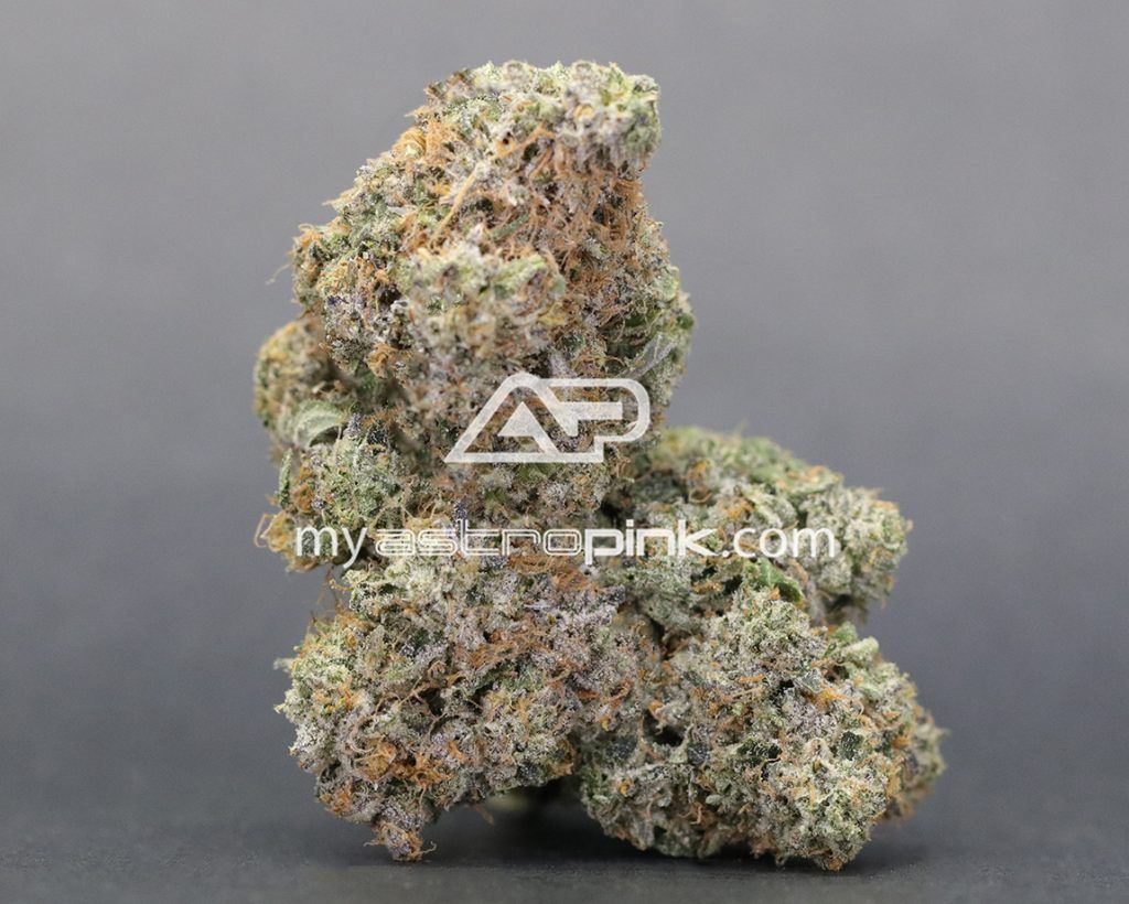 Astro Pink Lot #5019