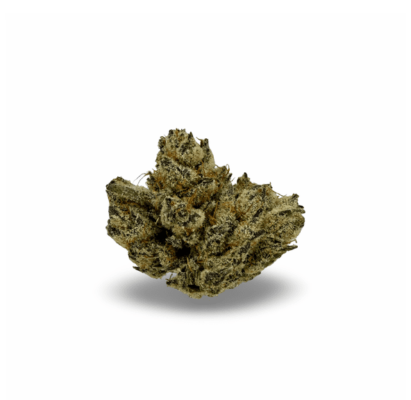 CASINO KUSH - 14G | INDOOR FLOWER
