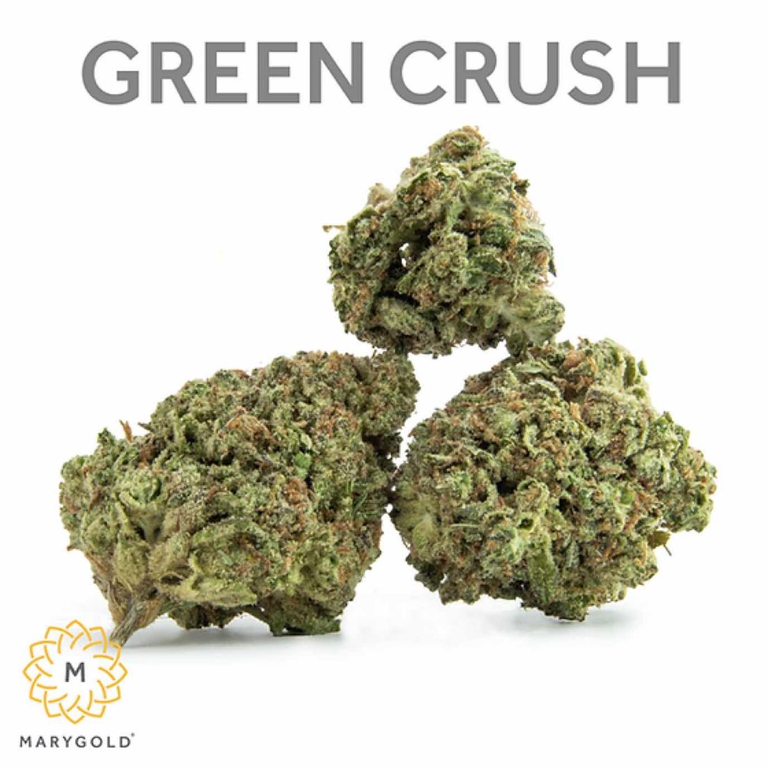 Marygold - Flower - Green Crush - 3.5g