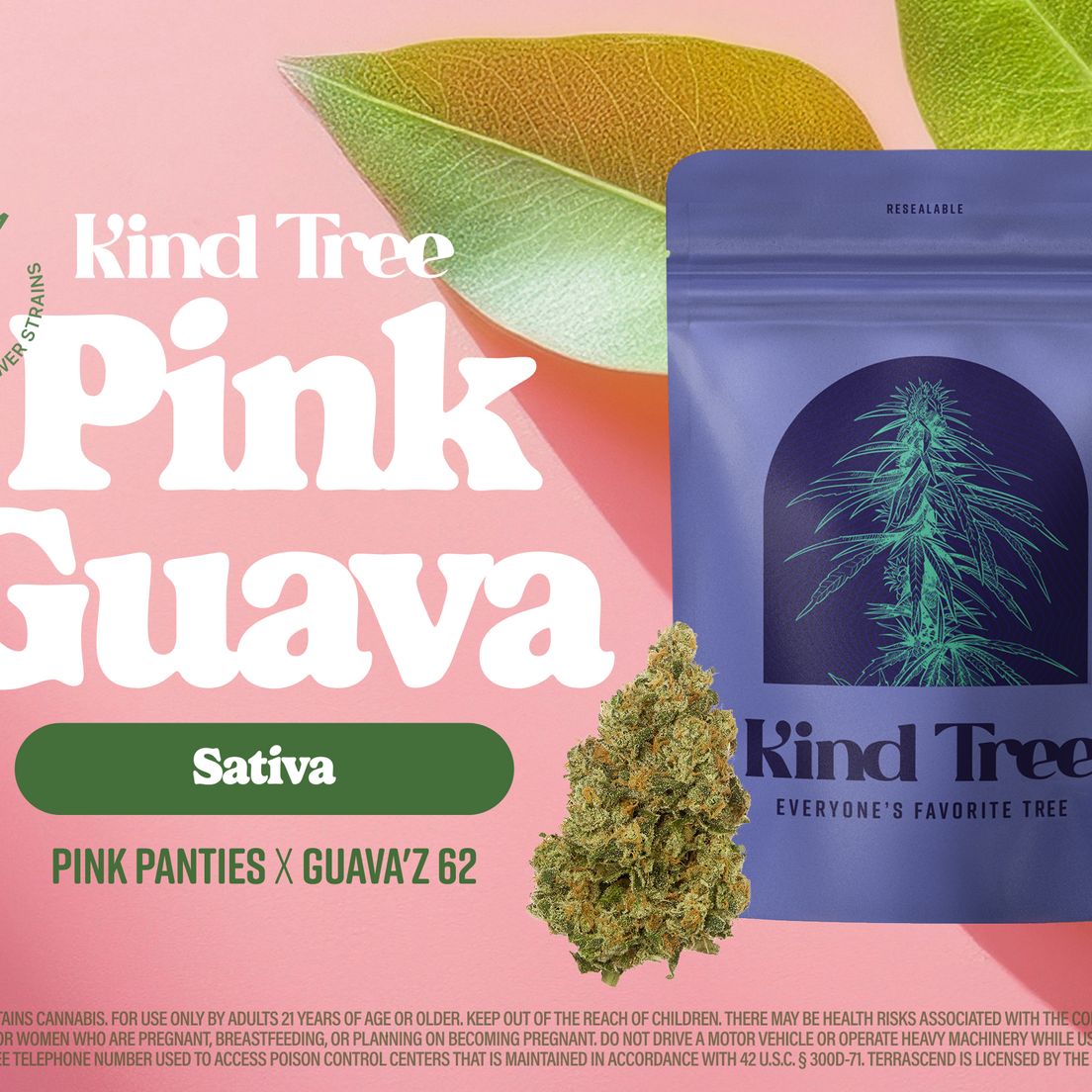 Pink Guava 3.5g (F-S-35)