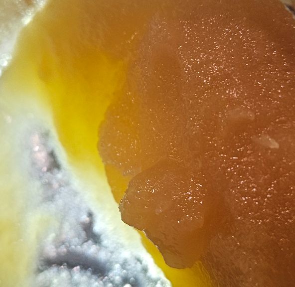 Ace Ultra - Dab - Citrus Sunset - 1G