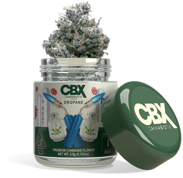 Cannabiotix | Flower | 3.5g | Dropane
