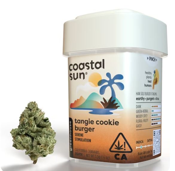 Coastal Sun - Tangie Cookie Burger 3.5g