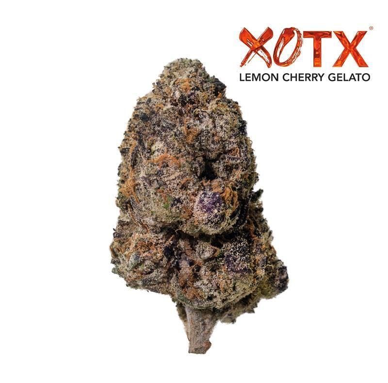 XOTX - 1OZ - LEMON CHERRY GELATO