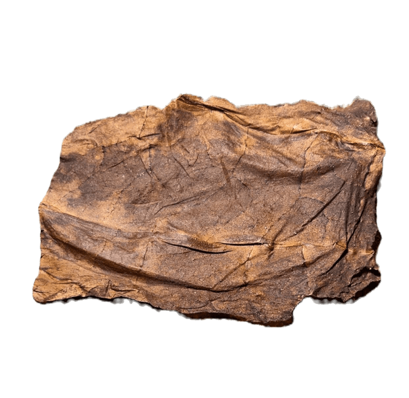 Grabba Bags $5