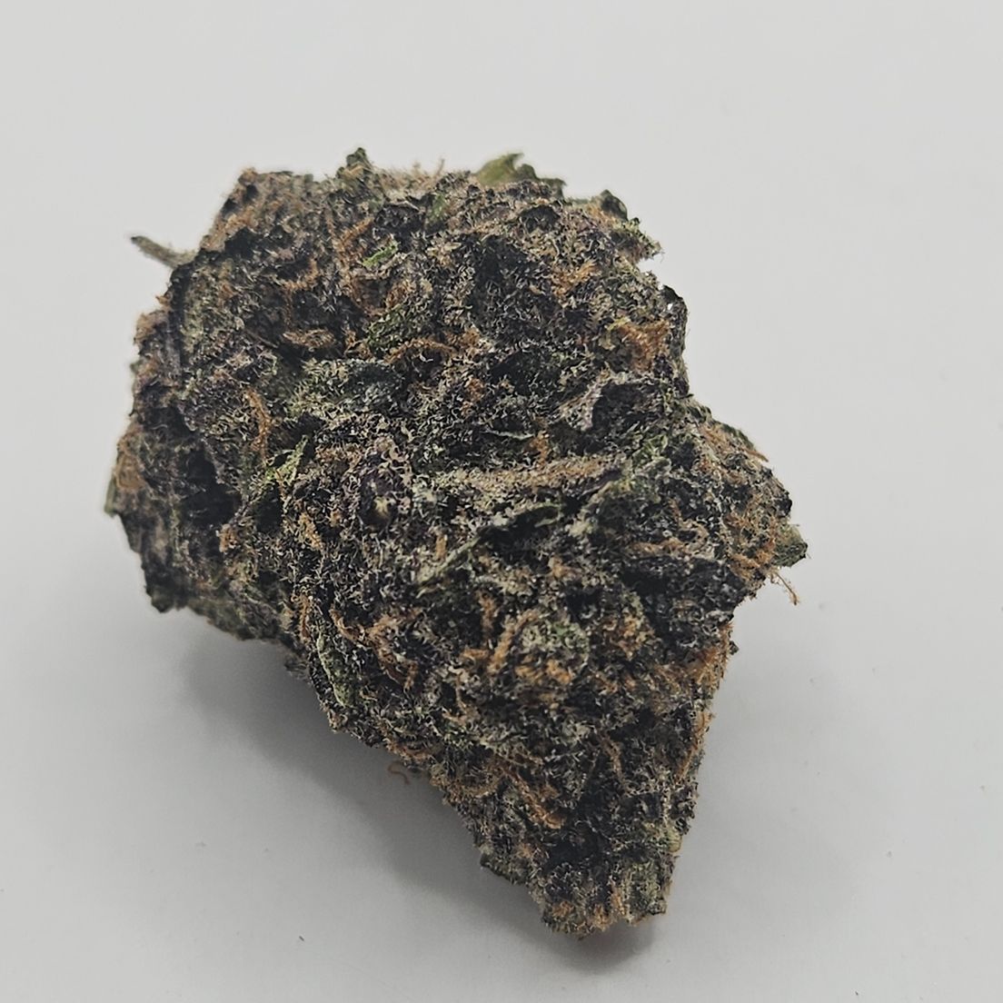 *Indoor - Pink Rozay - 24% - IDH