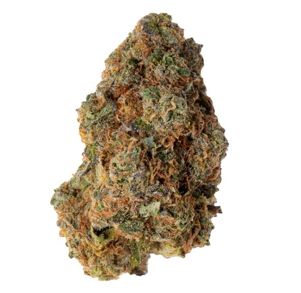 Buddha Kings Flying Monkeys