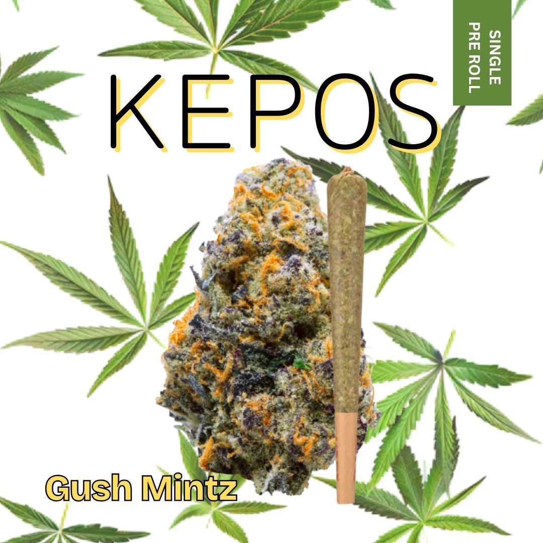 Kepos - Gush Mintz 1.2g - PRE ROLL