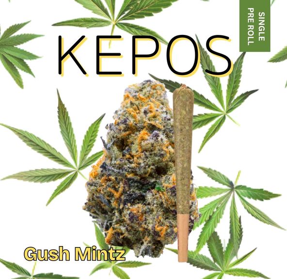 Kepos - Gush Mintz 1.2g - PRE ROLL
