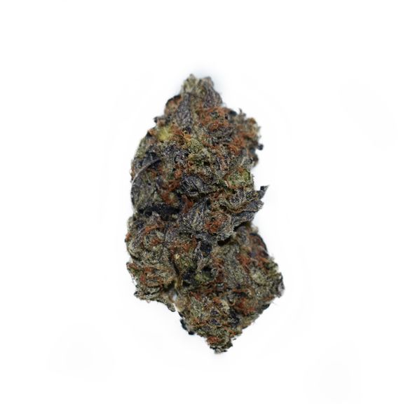 Black Tuna - 7 Grams