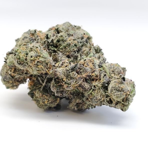 Gelato 33 - Jar 1/8th THC 34.74 %