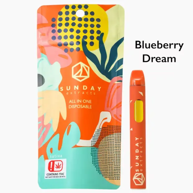 All In One Blueberry Dream 2.00 g