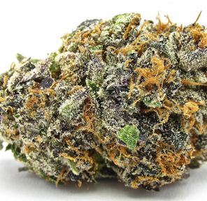 Lava Cake