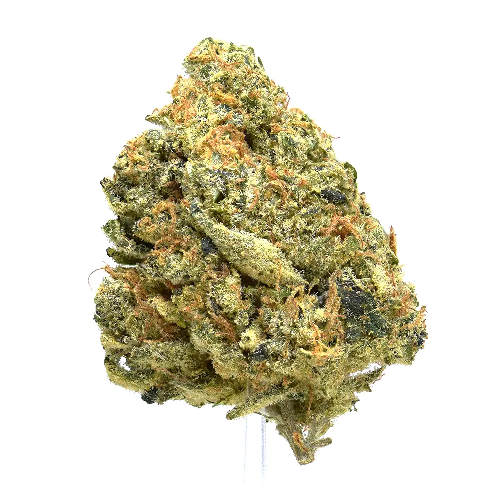 Ultimate Jack Herer | SALE!