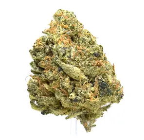 Ultimate Jack Herer | SALE!