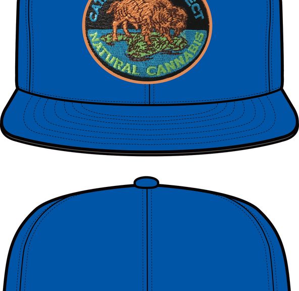 Catalina Connect: Hat - Blue, Original Snapback